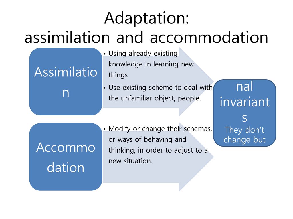 Piaget adaptation assimilation accommodation sale